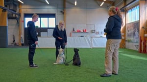 Koti koiralle - Oikeus omaan rauhaan