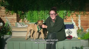 Koti koiralle UK - Iloa ja lohtua