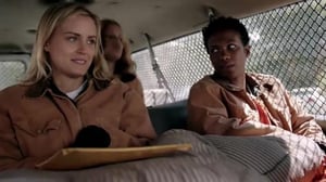 Orange Is the New Black (12)