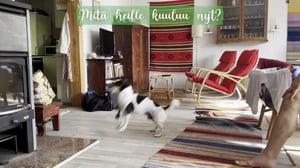 Koti koiralle - Erikoisjakso