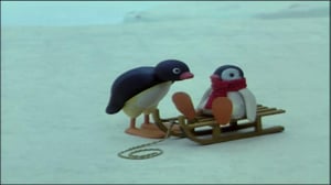 Pingu (S)