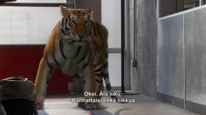 Asema 19 (12) - Villiä menoa