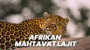 Afrikan mahtavat lajit