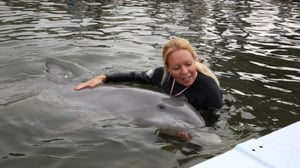 Oletko älykkäämpi kuin lemmikkisi? (7) - Delfiini, käärme, kissa