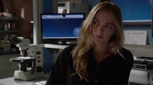 NCIS Rikostutkijat - Jälkimaininkeja