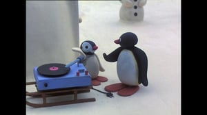 Pingu (S) - Pingu (S)