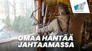 Omaa häntää jahtaamassa (7) - Peurat golf-radalla