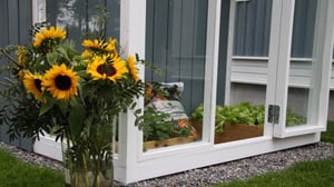 Huvila & Huussi - Sorakentälle nurmi ja omenapuita