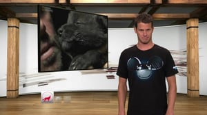 Tosh.0(Paramount+) (12) - Bryan Adams Guy