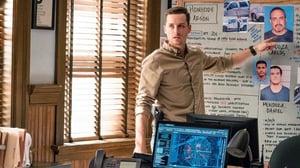 Chicago P.D. (16) - Päätöksiä