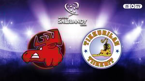 Happee - Tiikerit - Happee - Tiikerit 11.1.