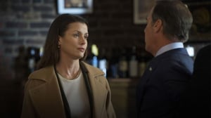 Blue Bloods (12) - Kirottu