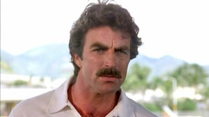 Magnum P.I. (7) - All Roads Lead to Floyd
