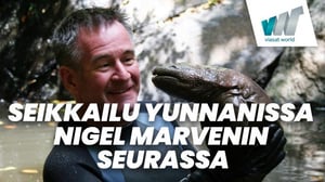 Seikkailu Yunnanissa Nigel Marvenin seurassa (7)