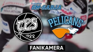 TPS - Pelicans, Fanikamera - TPS - Pelicans, Fanikamera 31.1.