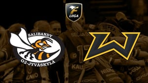 O2-Jyväskylä - Welhot, naiset Fanikamera - O2-Jyväskylä - Welhot, naiset Fanikamera 29.1.