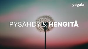 Pysähdy & Hengitä - Pysähdy & Hengitä