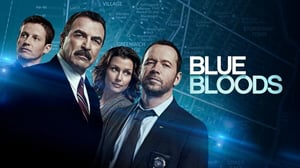 Blue Bloods (12) - Selvä päämäärä
