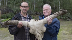 Mammutit: Jääkauden jättiläiset (7) - Mammutit: Jääkauden jättiläiset (7)