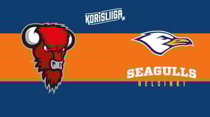 Bisons Loimaa - Helsinki Seagulls - Bisons Loimaa - Helsinki Seagulls 4.12.