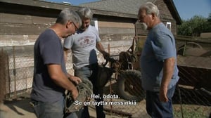 Amerikan kovimmat keräilijät - Skeittilautoja ja rännipalloja