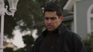 NCIS Rikostutkijat (12) - Rakkauden kaipuuta