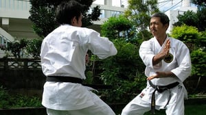 Kill Arman (12) - Japani, Okinawa