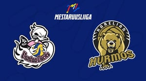 Ducks - Karelian Hurmos - Ducks - Karelian Hurmos 19.2.