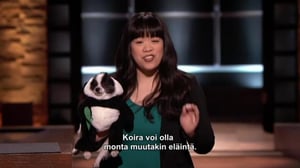 Leijonan luola USA - Koira pandan vaatteissa