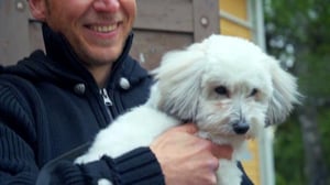 Koti koiralle - Haasteena pelkoaggressiivisuus