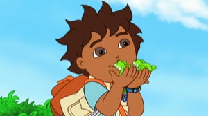 Go, Diego, Go! (S) - Rescue of Red-Eyed Tree Frogs!