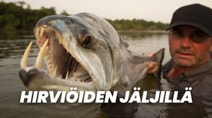 Hirviöiden jäljillä