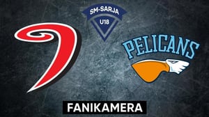 JYP Ak - Pelicans, Fanikamera - JYP Ak - Pelicans, Fanikamera 10.1.