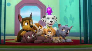 Ryhmä Hau (S) - Jättivihannekset; Pennut ja avaruuslelu