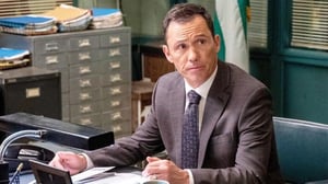 Kova laki (2022) (12) - Bias