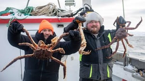 Burgerimiehet Pohjolassa - Säpinää Saarenmaalla