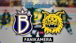 Blues - Ilves, Fanikamera - Blues - Ilves, Fanikamera 14.3.