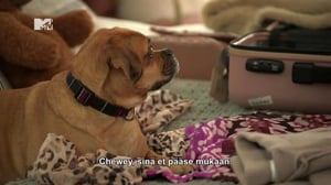 The Hills: New Beginnings - Of Course We're Married