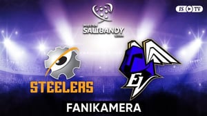 Steelers - EräViikingit, Fanikamera - Steelers - EräViikingit, Fanikamera 18.2.