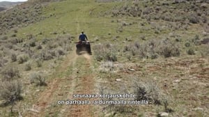 Vuorien sankarit - Vasikka ja villihevonen