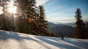 Kesytön Romania (7) - 101