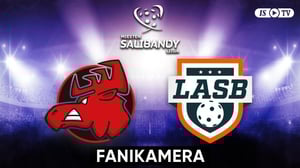 Happee - LASB, Fanikamera - Happee - LASB, Fanikamera 22.11.