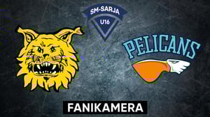 Ilves - Pelicans, Fanikamera - Ilves - Pelicans, Fanikamera 27.2.