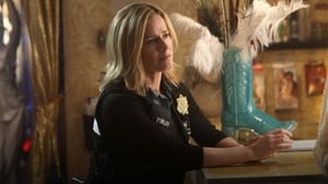 CSI: Crime Scene Investigation (12) - Love for Sale