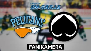 Pelicans - Ässät, Fanikamera - Pelicans - Ässät, Fanikamera 11.1.
