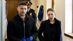 FBI: Most Wanted (12) - Hullu työ