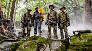 Lentoturmatutkinta - Lentoturmatutkinta 17, 5