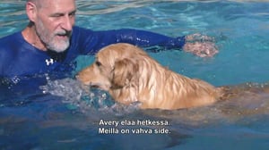 Eläinvelho: lemmikit jaloilleen - Sorsalle räpylä