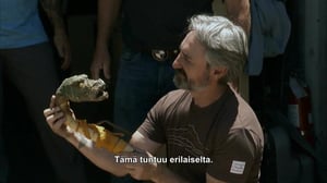 Amerikan kovimmat keräilijät - Elokuvien taikaa