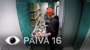 Big Brother Suomi - Hulluuden partaalle